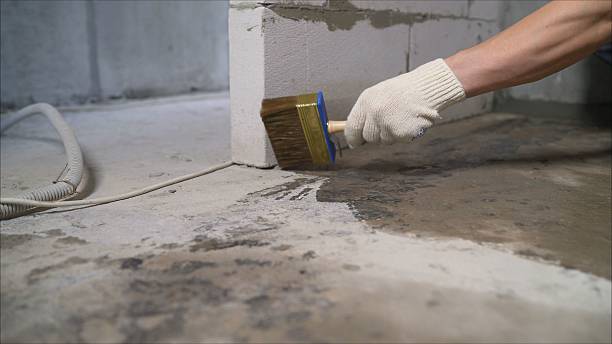 SJ Waterproofing Pros Waterproofing coverage map for Port Byron, IL and surrounding area